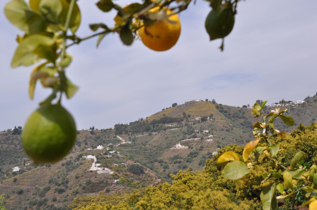 Casa Los Dos (Adults Only) Sayalonga Εξωτερικό φωτογραφία